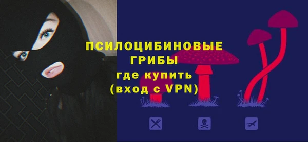 ГАЛЛЮЦИНОГЕННЫЕ ГРИБЫ Покачи