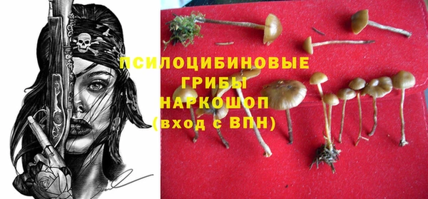 индика Протвино