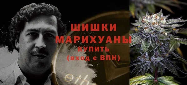 ГАЛЛЮЦИНОГЕННЫЕ ГРИБЫ Покачи