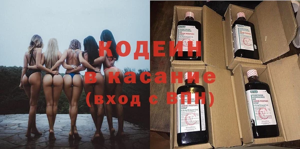индика Протвино