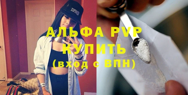 индика Протвино