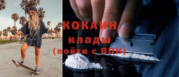 индика Протвино