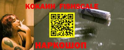 стаф Дубна