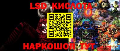 молекула духа Донецк