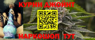 стаф Дубна