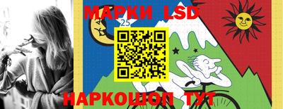 mdpv Донской