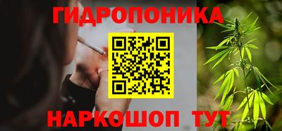 стаф Дубна
