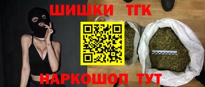 стаф Дубна