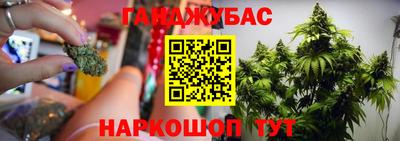 стаф Дубна