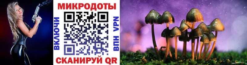 blacksprut сайт  Новороссийск  Псилоцибиновые грибы мухоморы  сколько стоит 