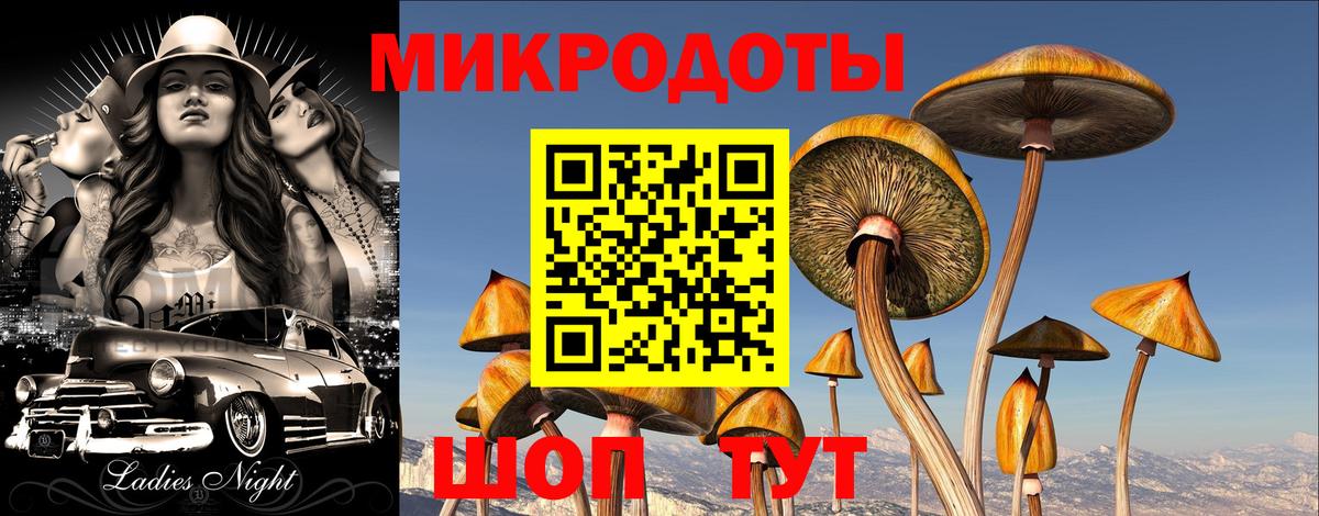 Галлюциногенные грибы Cubensis Новороссийск