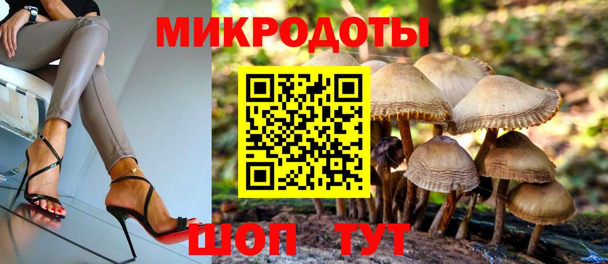 Псилоцибиновые грибы Cubensis  Вход с VPN  Новороссийск  Галлюциногенные грибы Psilocybe 