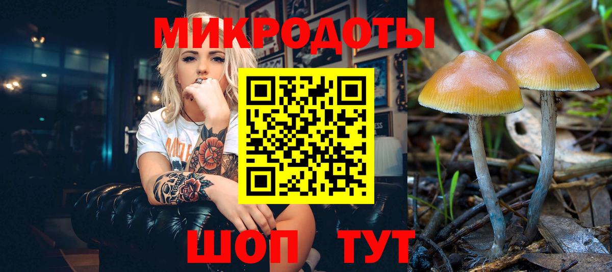 цена наркотик  Новороссийск  Псилоцибиновые грибы Psilocybe 